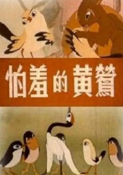 成人ftp